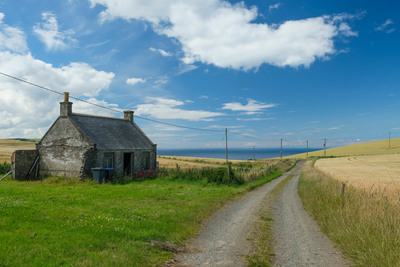 Walk photo