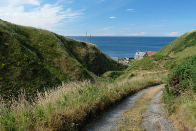 Walk photo