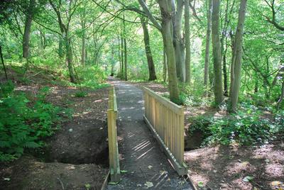 Walk photo