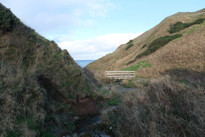 Walk photo