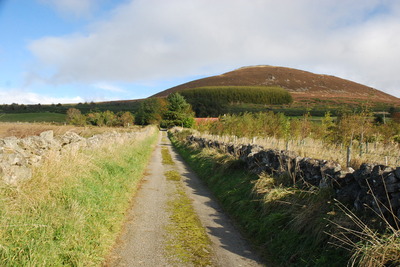 Walk photo