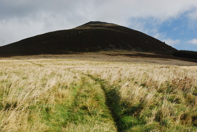 Walk photo