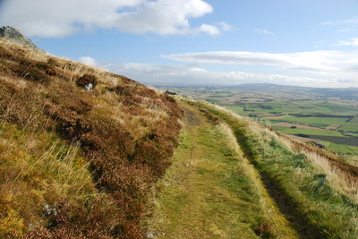 Walk photo