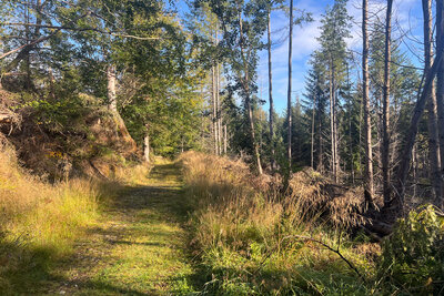 Walk photo
