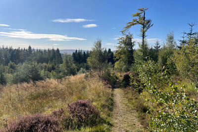 Walk photo