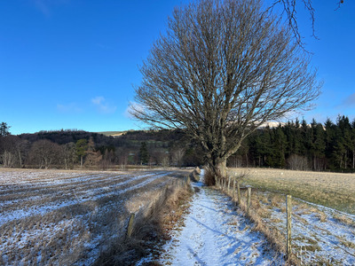 Walk photo