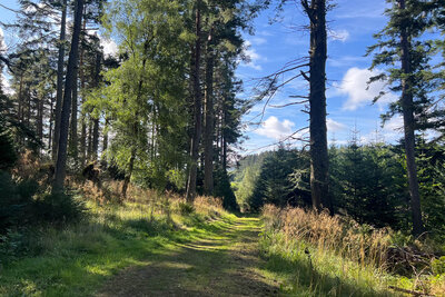 Walk photo