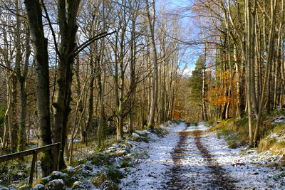 Walk photo