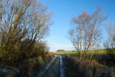 Walk photo