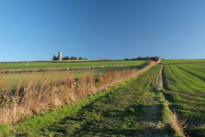 Walk photo