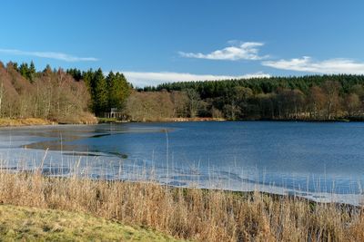 Walk photo