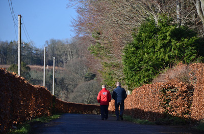 Walk photo