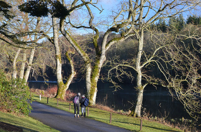 Walk photo