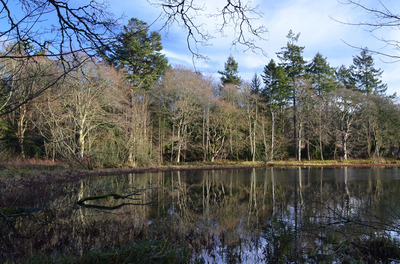 Walk photo