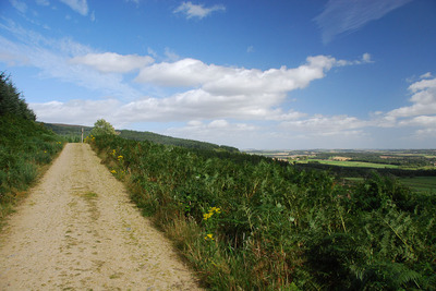 Walk photo