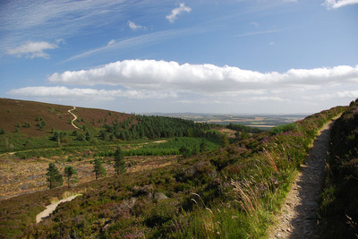 Walk photo