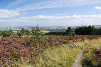 Walk photo