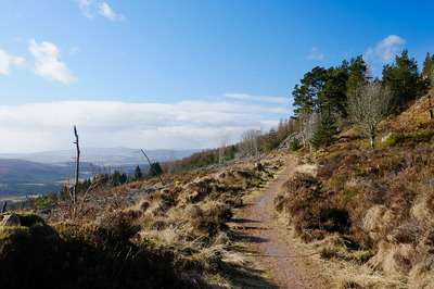 Walk photo