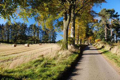 Walk photo