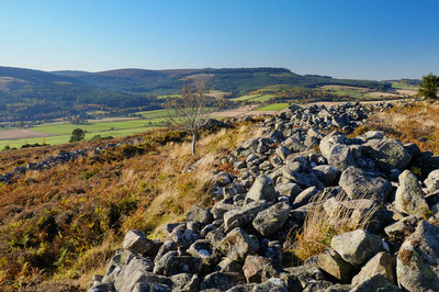 Walk photo