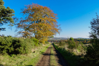 Walk photo