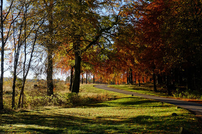 Walk photo