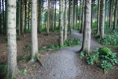 Walk photo