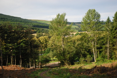 Walk photo