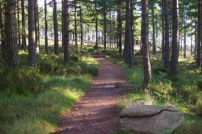 Walk photo