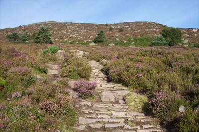 Walk photo