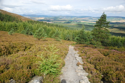 Walk photo