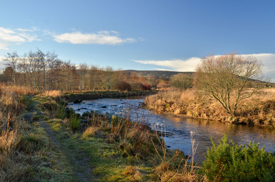 Walk photo