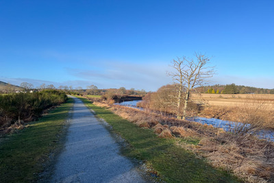 Walk photo