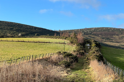 Walk photo