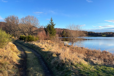Walk photo