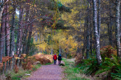 Walk photo