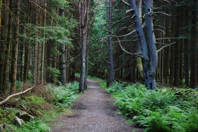 Walk photo