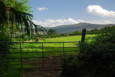 Walk photo