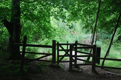 Walk photo