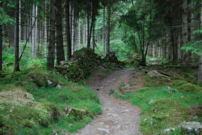 Walk photo