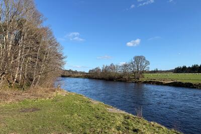 Walk photo