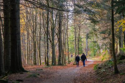 Walk photo