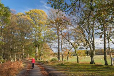 Walk photo