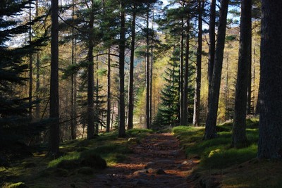 Walk photo