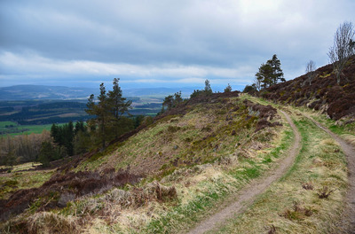 Walk photo