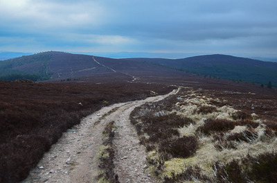 Walk photo