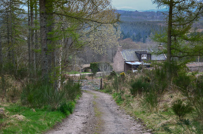 Walk photo