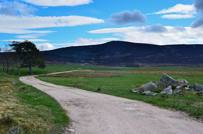Walk photo