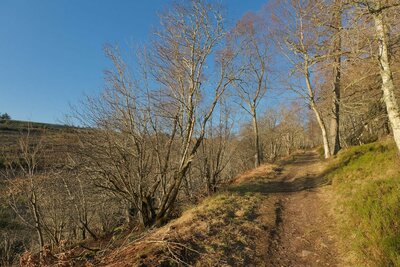 Walk photo