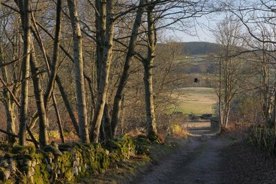 Walk photo